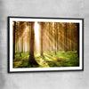 Floral print of Pine Forest Sunrise with black glass front frame