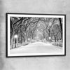 Floral print of Snowy Central Park with black glass front frame