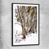 Floral print of Snowy Gumtrees with black glass front frame