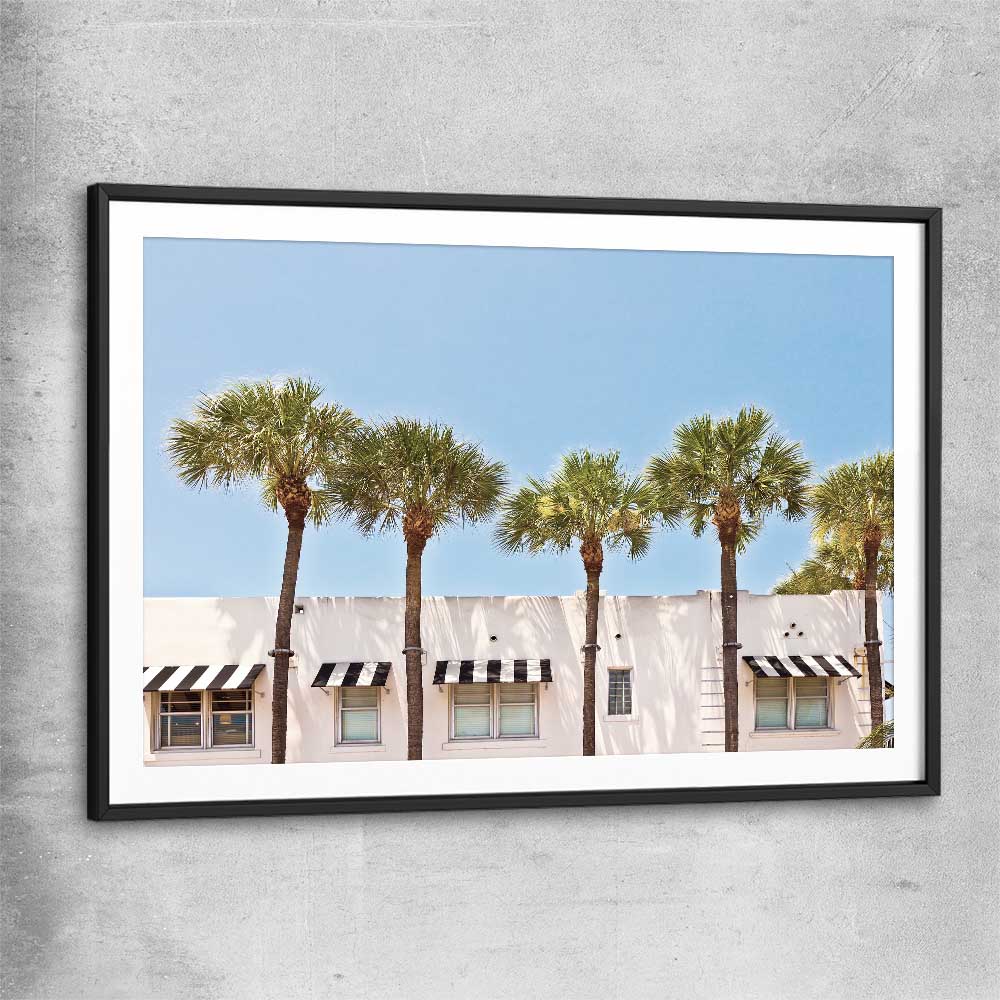 Floral print of South Miami Palms with black glass front frame
