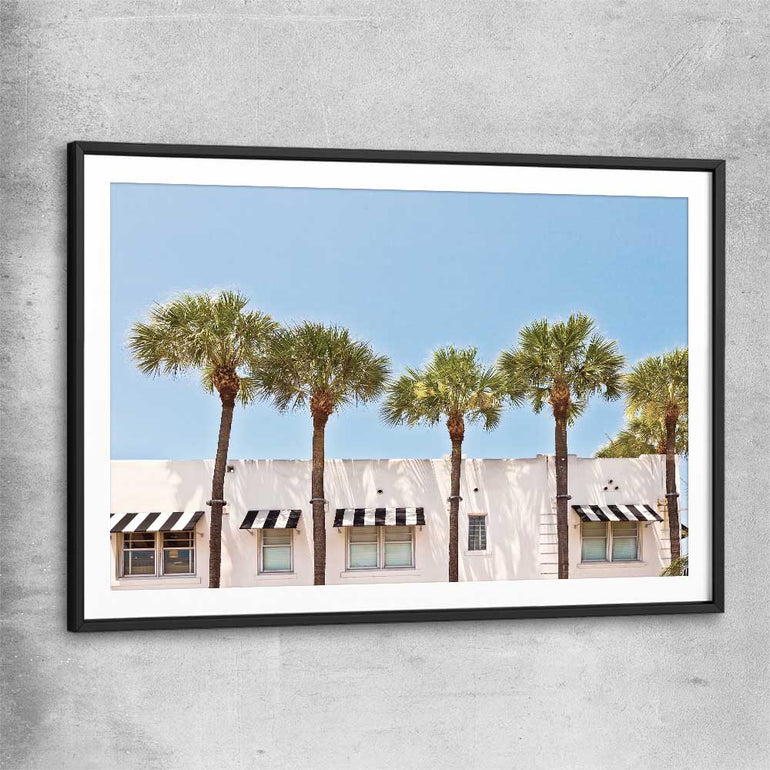 Floral print of South Miami Palms with black glass front frame