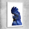 Animal wall art and canvas prints of Black Cockatoo One with white glass front frame