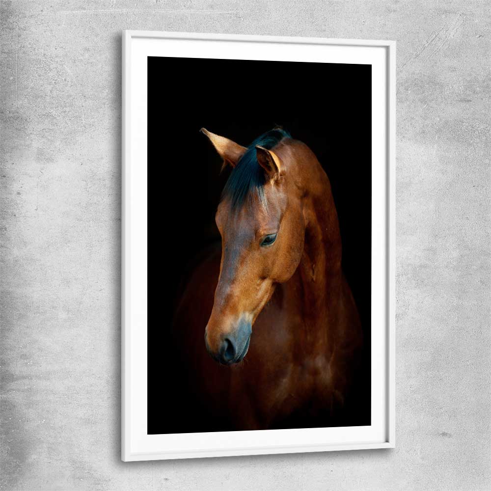 Animal wall art and canvas prints of Chestnut Horse Portrait with white glass front frame
