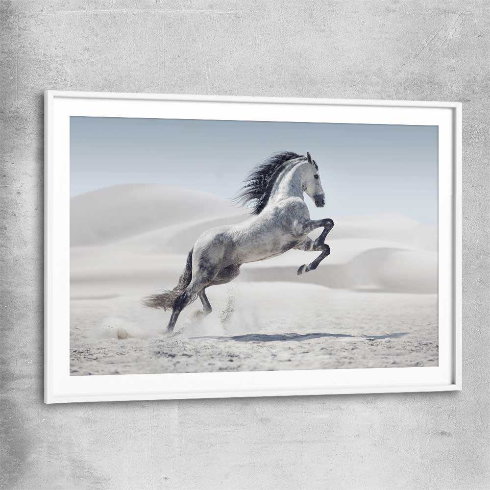 Animal wall art and canvas prints of Free Spirit Horse with white glass front frame