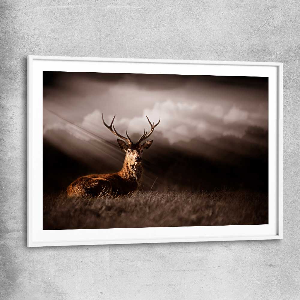 Animal wall art and canvas prints of Glowing Deer with white glass front frame