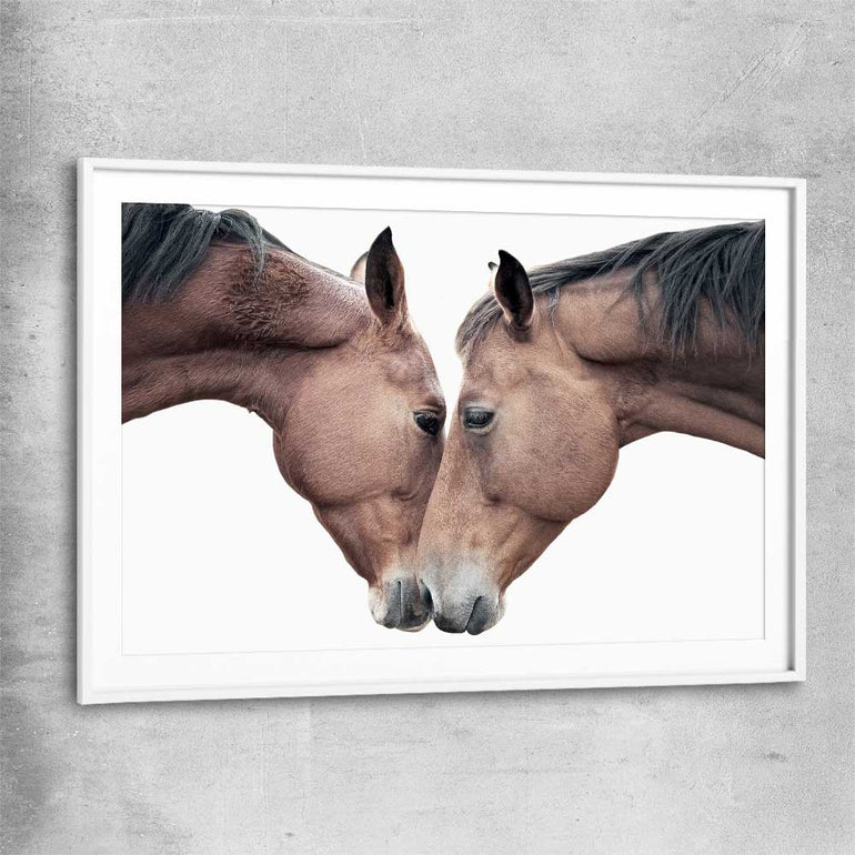 Animal wall art and canvas prints of Horse Affection with white glass front frame