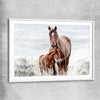 Animal wall art and canvas prints of Horse Love with white glass front frame
