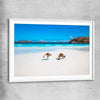 Animal wall art and canvas prints of Kangaroo Beach Couple with white glass front frame
