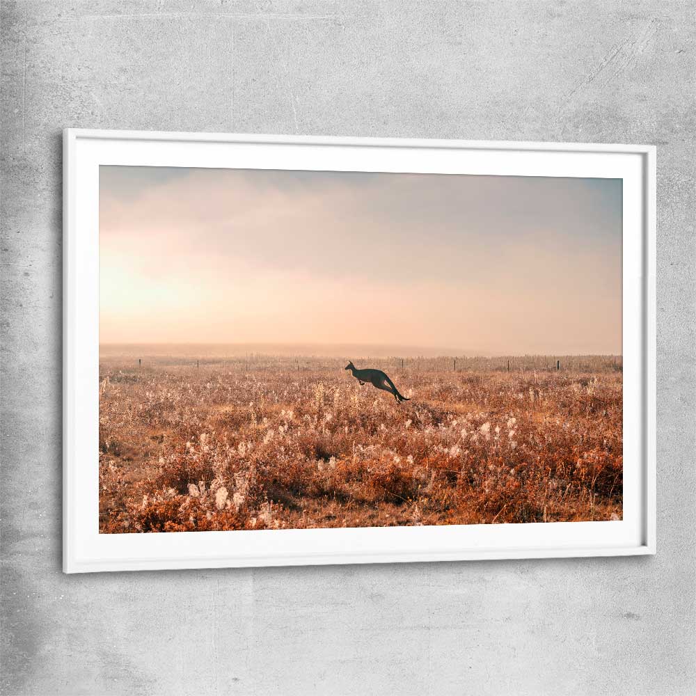 Animal wall art and canvas prints of Kangaroo Desert Horizon with white glass front frame
