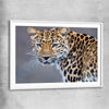 Animal wall art and canvas prints of Leopard Silent Watch with white glass front frame