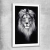 Animal wall art and canvas prints of Lion Gaze with white glass front frame