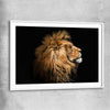 Animal wall art and canvas prints of Lion Mentality with white glass front frame