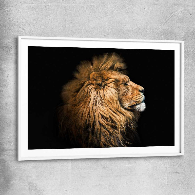 Animal wall art and canvas prints of Lion Mentality with white glass front frame