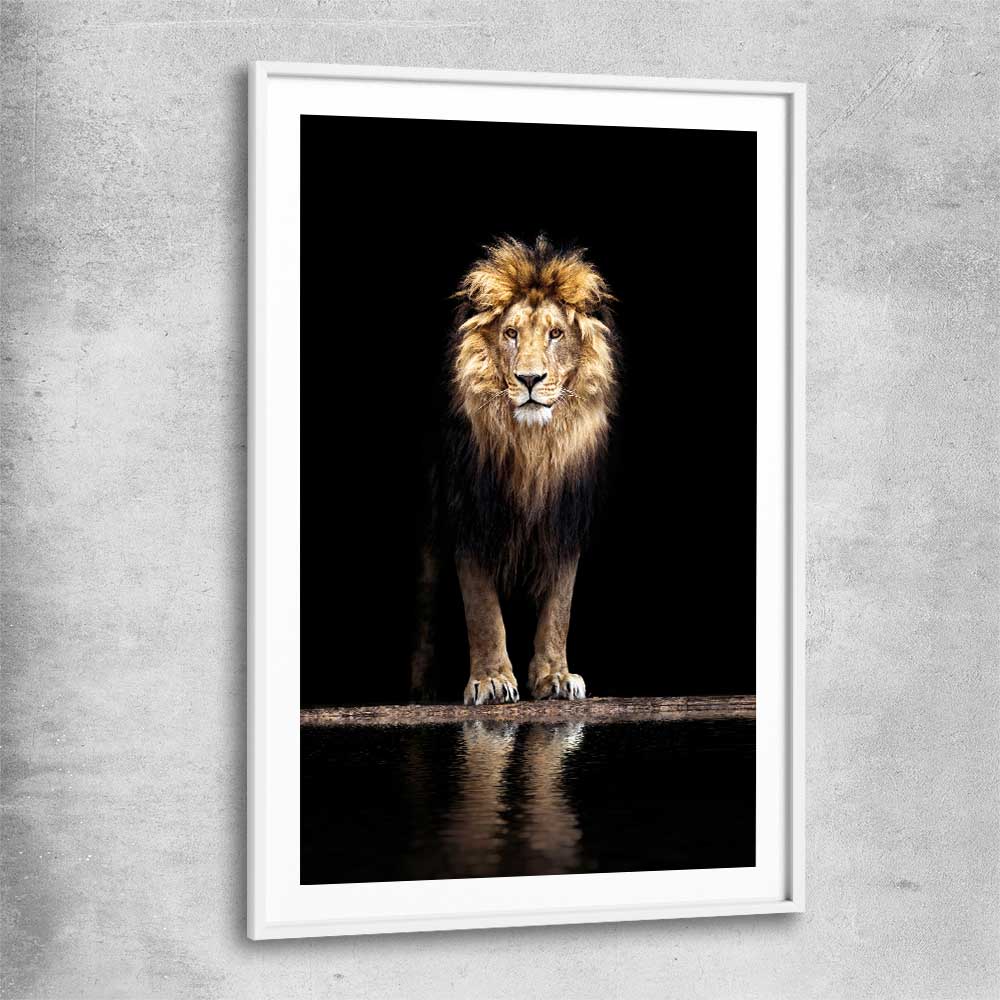 Animal wall art and canvas prints of Majestic Lion Portrait with white glass front frame