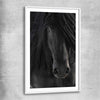 Animal wall art and canvas prints of Midnight Friesian Horse with white glass front frame