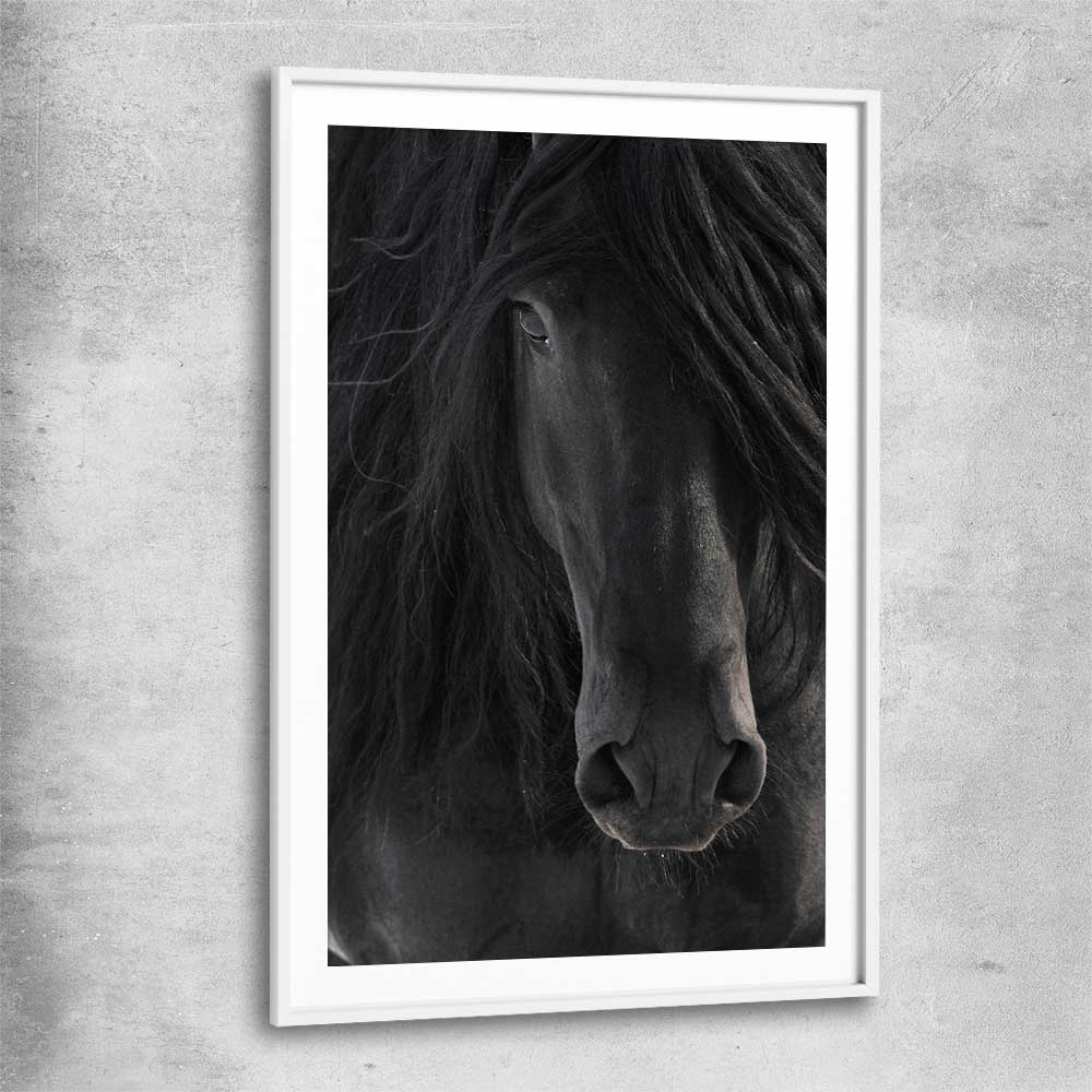 Animal wall art and canvas prints of Midnight Friesian Horse with white glass front frame