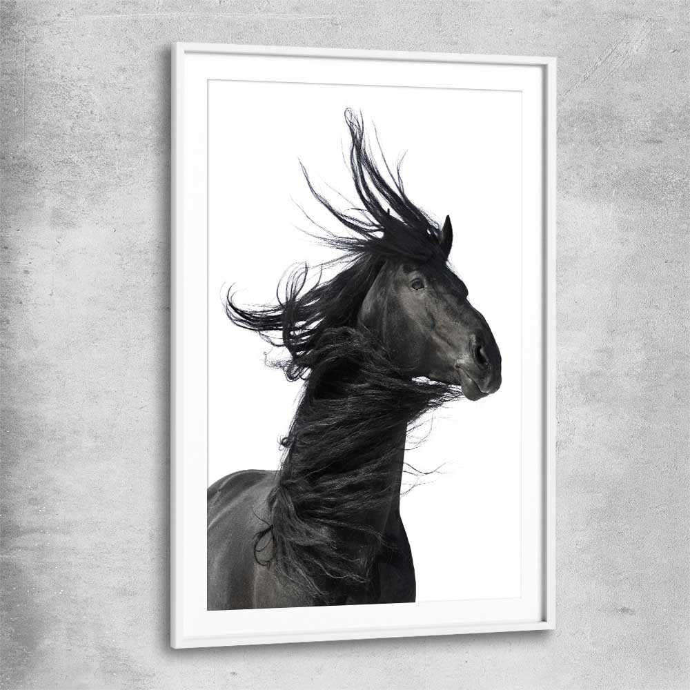 Animal wall art and canvas prints of Midnight Horse with white glass front frame