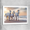 Animal wall art and canvas prints of Ocean Breeze Horses with white glass front frame