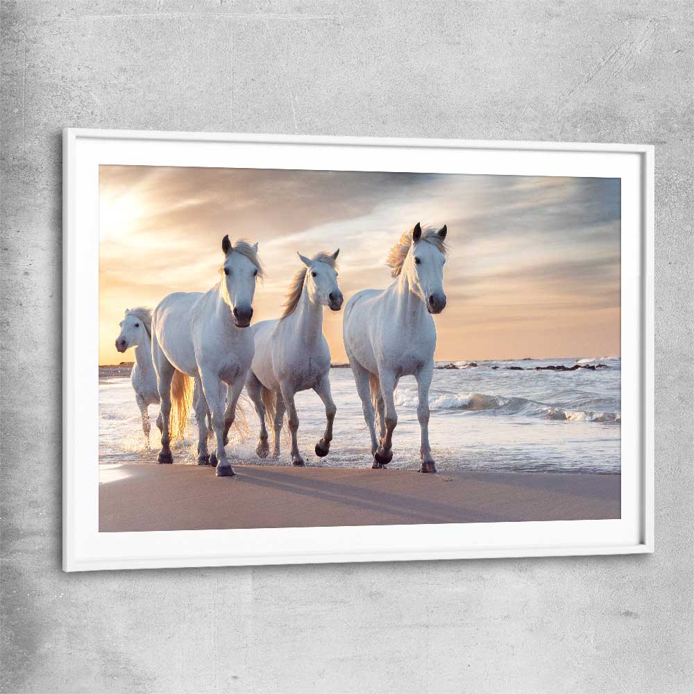 Animal wall art and canvas prints of Ocean Breeze Horses with white glass front frame