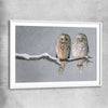 Animal wall art and canvas prints of Perched Owls with white glass front frame