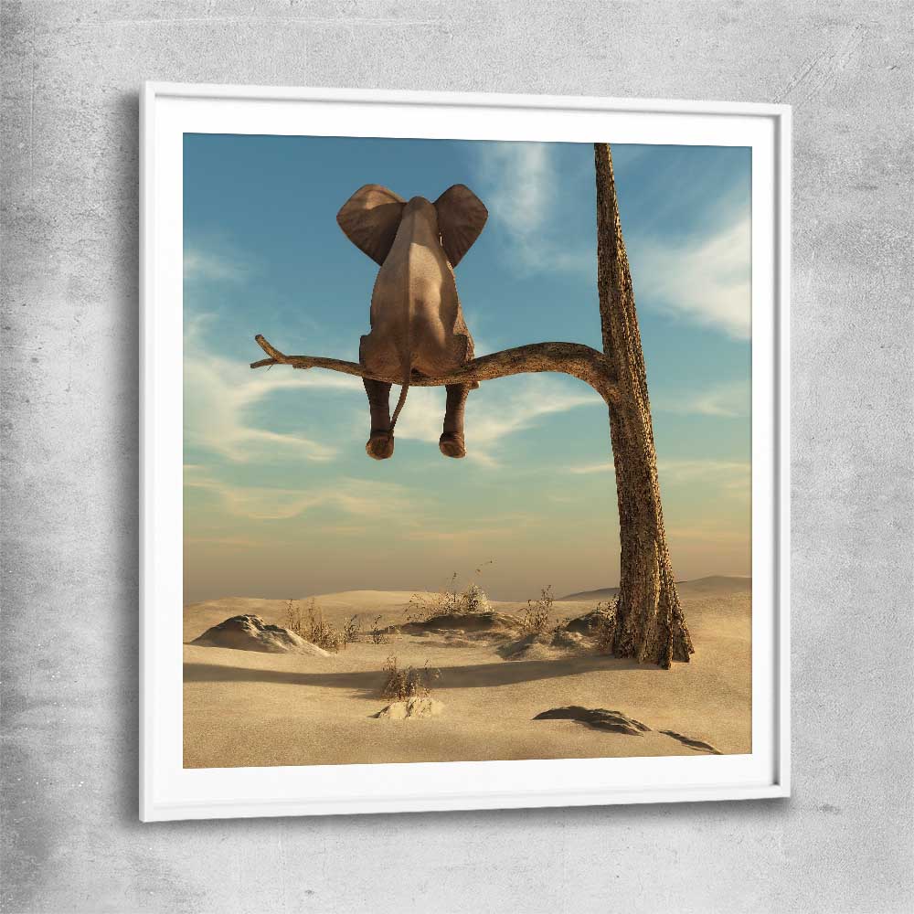 Animal wall art and canvas prints of Pondering Elephant with white glass front frame