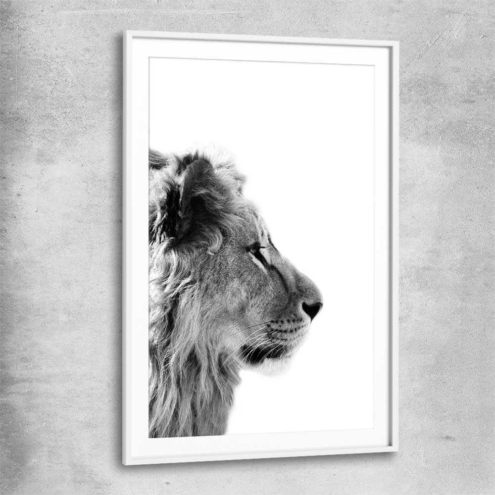 Animal wall art and canvas prints of Pondering Lion with white glass front frame