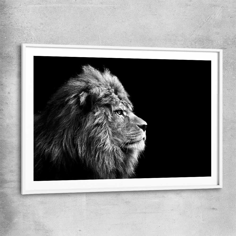 Animal wall art and canvas prints of Regal Lion Profile with white glass front frame