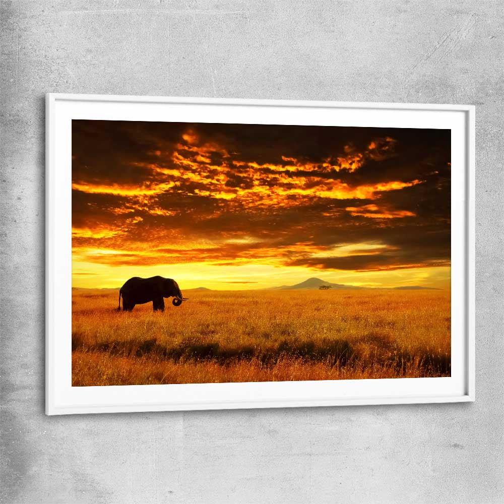 Animal wall art and canvas prints of Savannah Elephant Sunset with white glass front frame