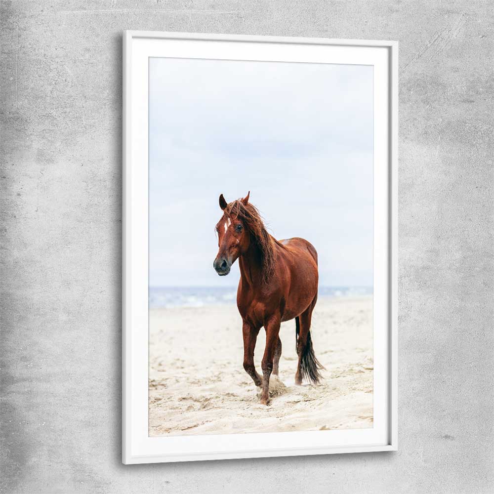 Animal wall art and canvas prints of Sea Breeze Horse with white glass front frame