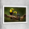 Animal wall art and canvas prints of Tropical Toucan Pair with white glass front frame