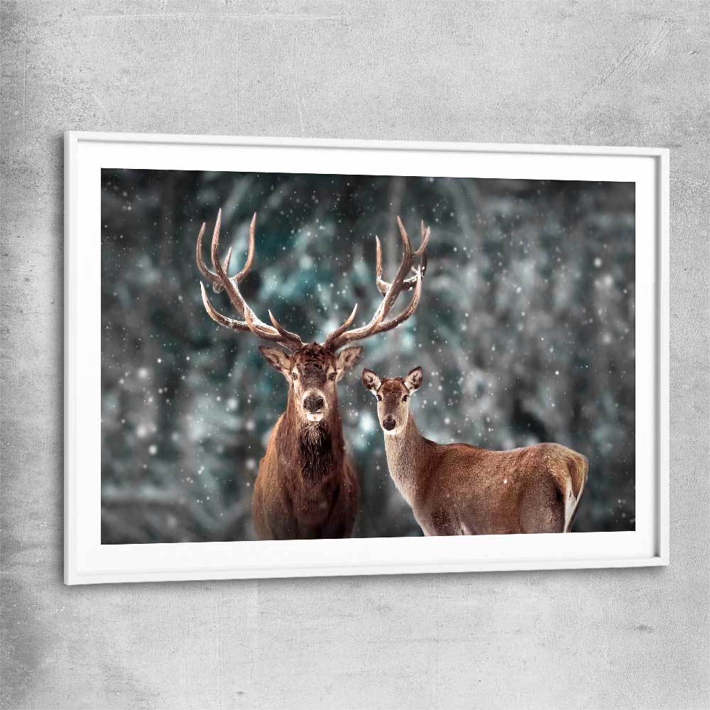 Animal wall art and canvas prints of Twin Highland Stags with white glass front frame