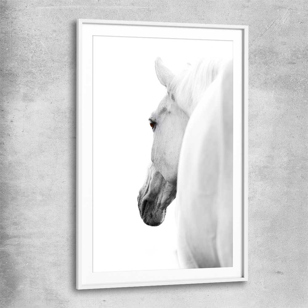 Animal wall art and canvas prints of White Horse Elegance with white glass front frame