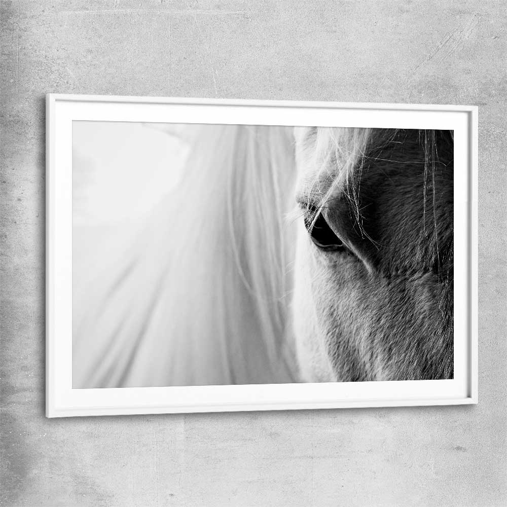 Animal wall art and canvas prints of White Horse Grace with white glass front frame
