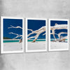 Beach and coastal wall art print of Whitsundays Driftwood Set with white glass front frame
