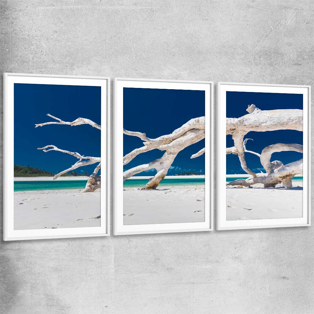 Beach and coastal wall art print of Whitsundays Driftwood Set with white glass front frame