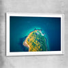 Beach and coastal wall art print of Bradleys Head Aerial with white glass front frame