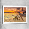 Beach and coastal wall art print of Driftwood at Sunset with white glass front frame