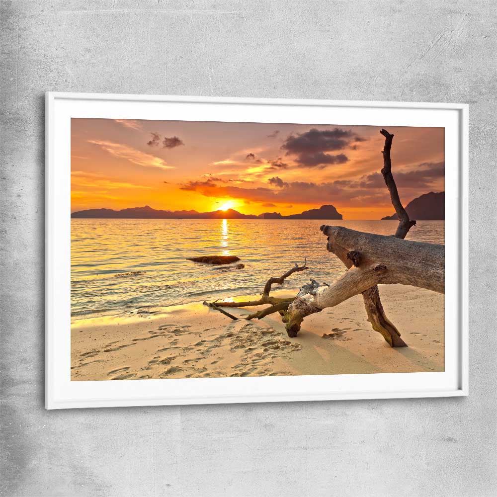 Beach and coastal wall art print of Driftwood at Sunset with white glass front frame