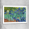 Classic wall art and canvas print of Irises Van Gogh with white glass front frame