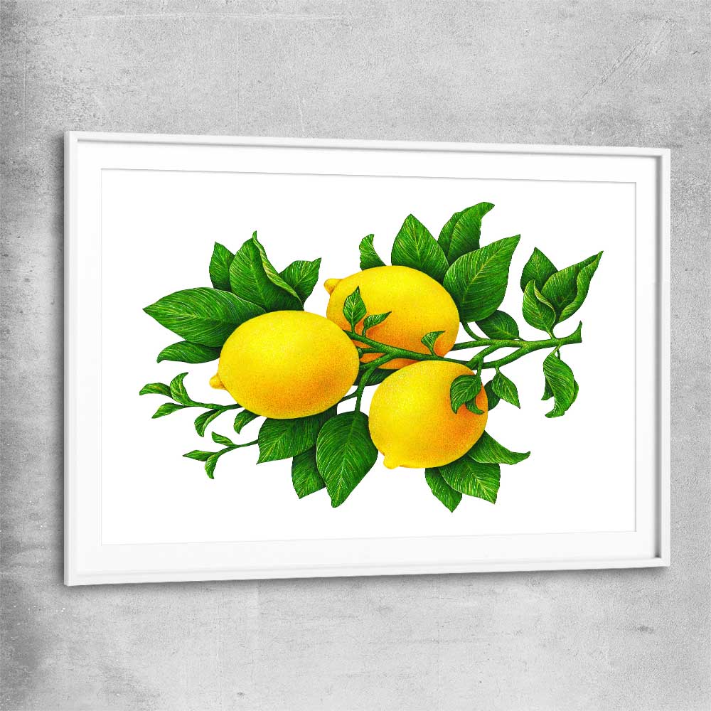 Lemon Botanical white glass front frame is a colourful and stylish canvas wall art and print suited for the kitchen area