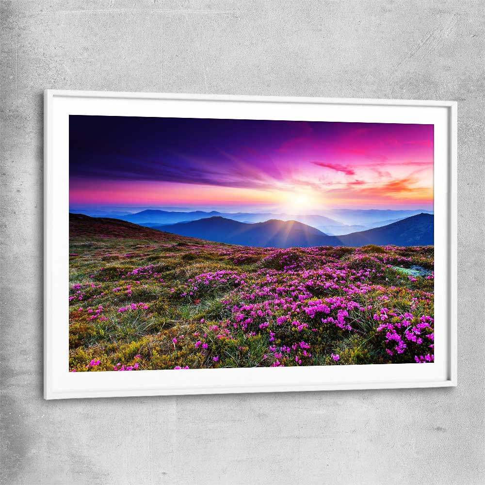 Floral print of Carpathian Mountain Bloom with white glass front frame