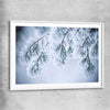 Floral print of Frosted Pine Canopy with white glass front frame