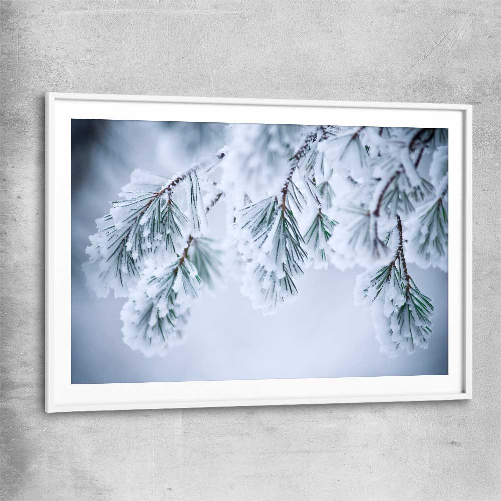 Floral print of Frosted Pine Canopy with white glass front frame