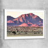Floral print of Namib Rand Desert with white glass front frame