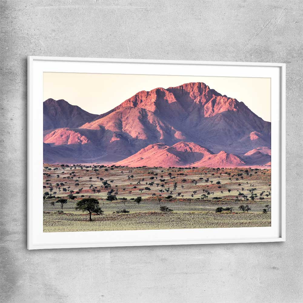 Floral print of Namib Rand Desert with white glass front frame