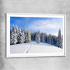 Floral print of Snowy Forest Path with white glass front frame