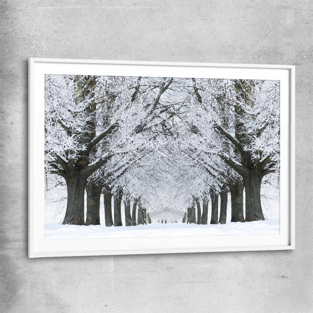 Floral print of Winter Tree Avenue with white glass front frame
