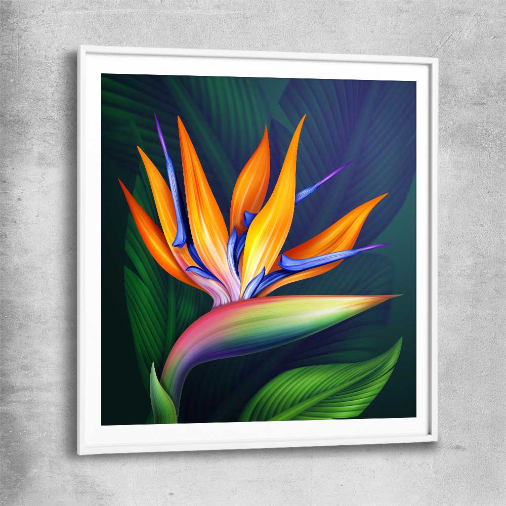 Floral print of Bird of Paradise Illustration with white glass front frame