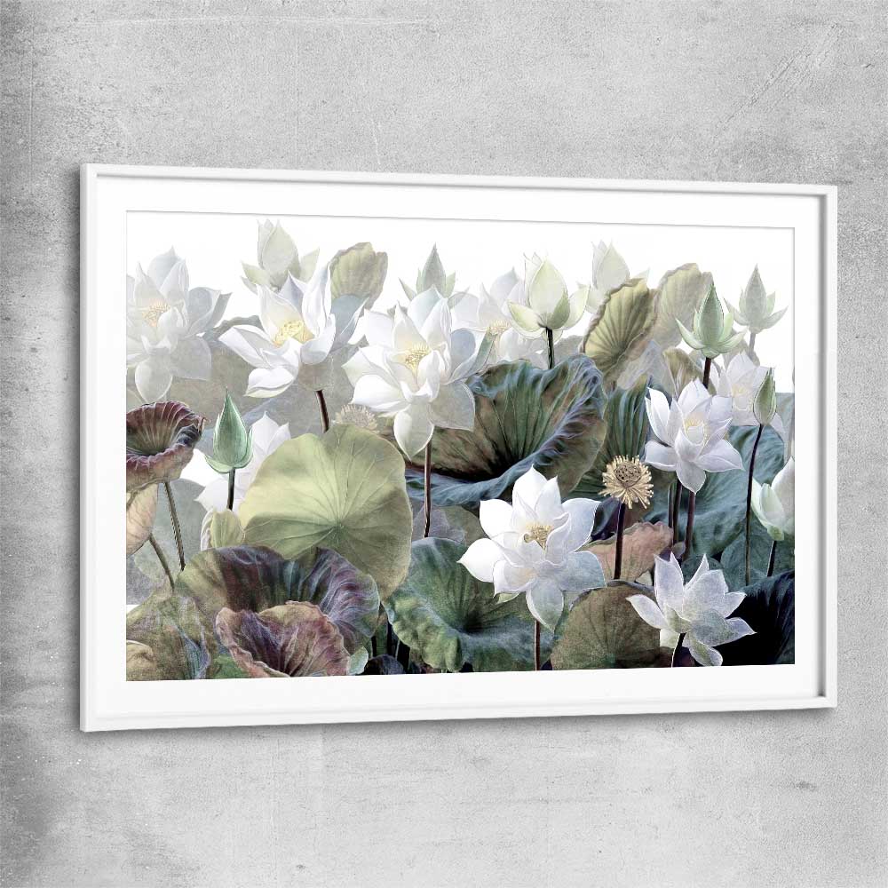 Floral print of Blooming Lotus Flowers with white glass front frame