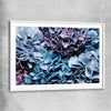 Floral print of Blue Hydrangea with white glass front frame